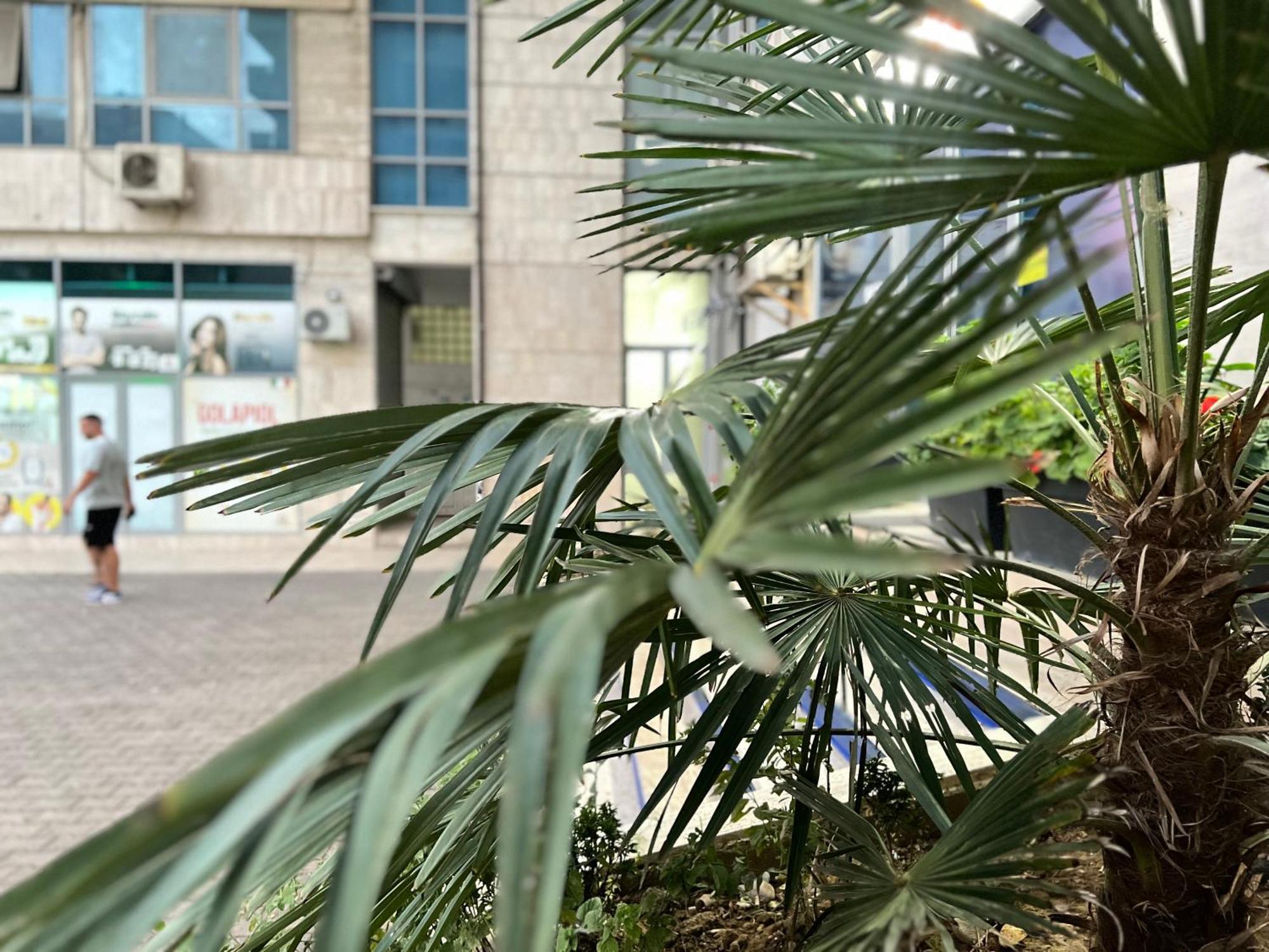New Baazar Terrace Apartment 티라나 외부 사진